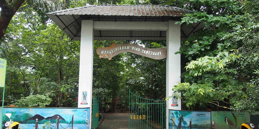 Witness diverse birds at Mangalavanam Bird Sanctuary, an ecologically sensitive area.