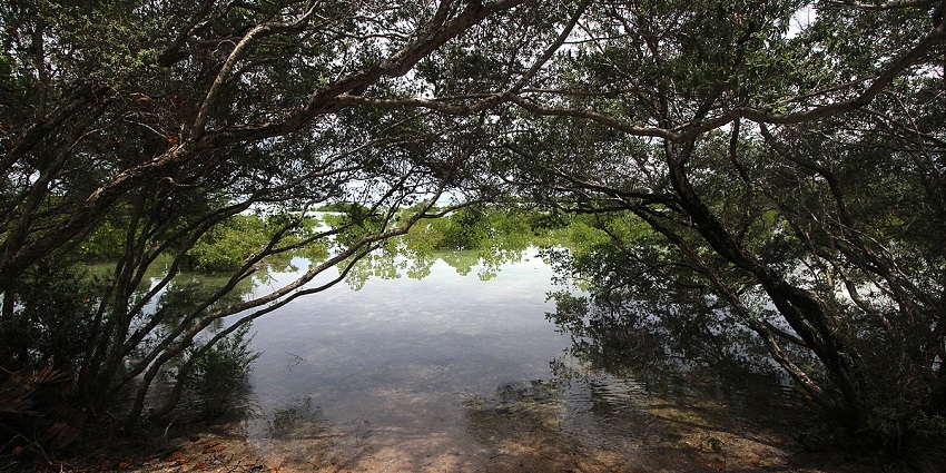 Landfall Island Wildlife Sanctuary— one of the best wildlife sanctuaries in the region.