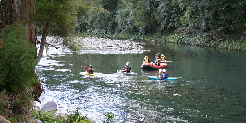 Scenic picture of a group of people Kayaking on a river amidst wild forest hills