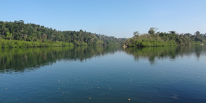 The view of Mangrove swamps Baratang Island - one of the best places to visit near Parrot Island