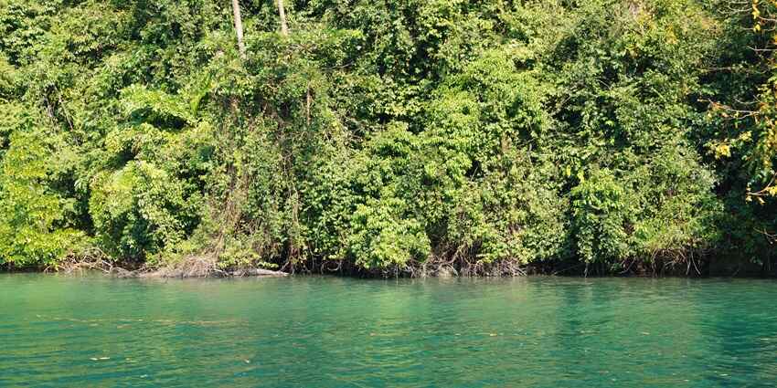 Explore wildlife at this park which is one of the top places to visit in Port Blair.