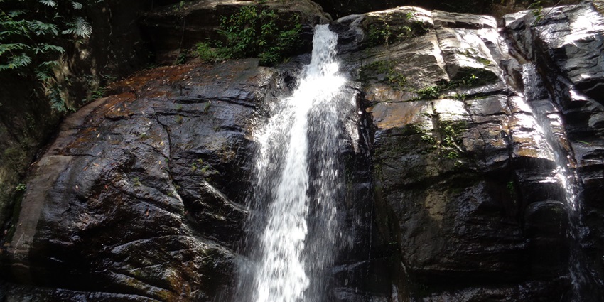 Mankayam Waterfalls is one of the seasonal Alappuzha Waterfalls to witness rolling hills.