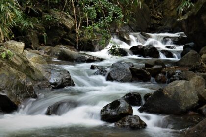 The cascading streams of the Mankayam Waterfalls in Kerala is a sight to behold