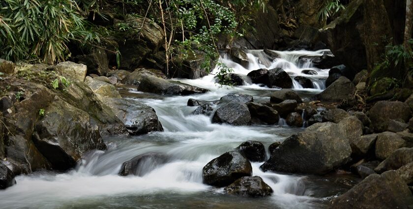 The cascading streams of the Mankayam Waterfalls in Kerala is a sight to behold