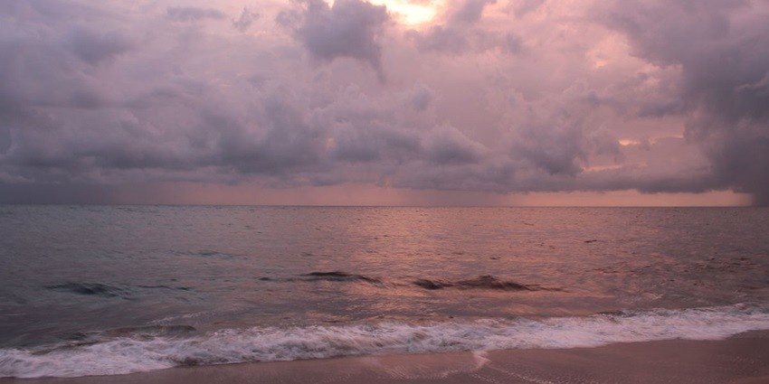 View of stunning sunset over Marari Beach with golden skies and palm trees silhouetted.