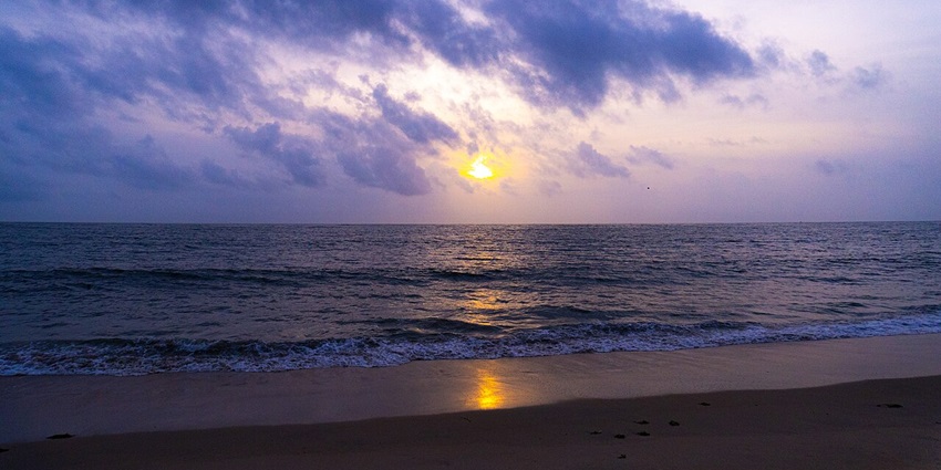 Golden sands and swaying palms line Marari Beach, offering serene sunsets and peaceful coastal escapes, one of the best places to visit in Kerala for couples.
