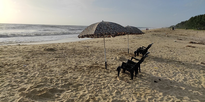 Golden sands of Marari Beach with palm trees - places to visit in Alleppey for couples