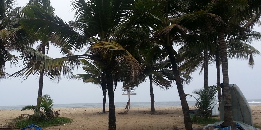 Maraikulam Beach covered with Plam trees is one of the best places to visit in Kerala