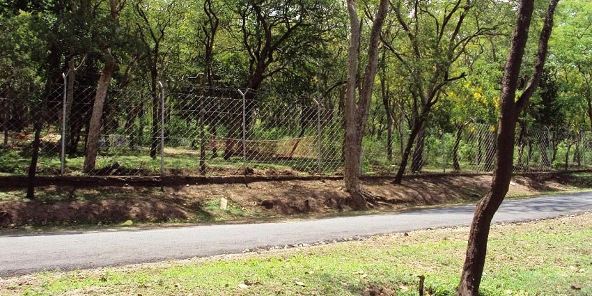 Marayoor Sandal Forest in Idukki is a natural reserve with plenty of sandalwood trees and fauna