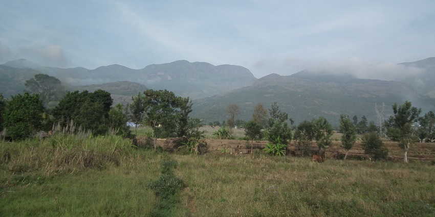 A view of Marayoor Sandalwood Forests, one of the best places to visit in Kanthalloor.