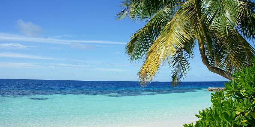 Mark Bay Beach boasts astonishing vistas. You can spot various fishes and dolphins here.