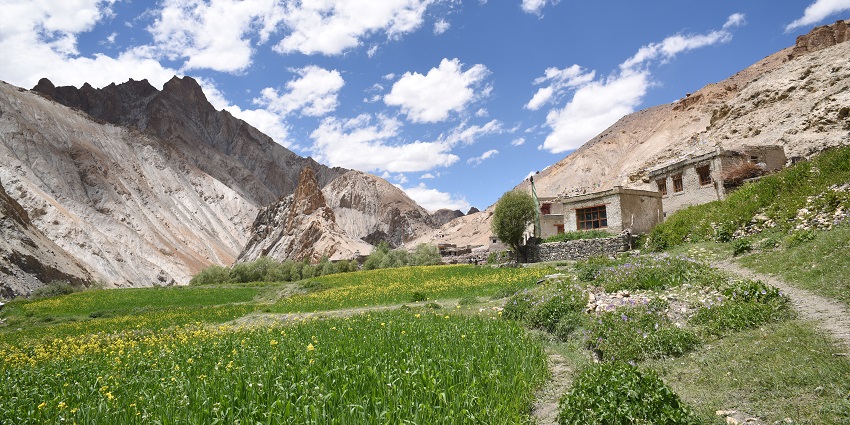 Hangkar on Markha Valley trek, Ladakh