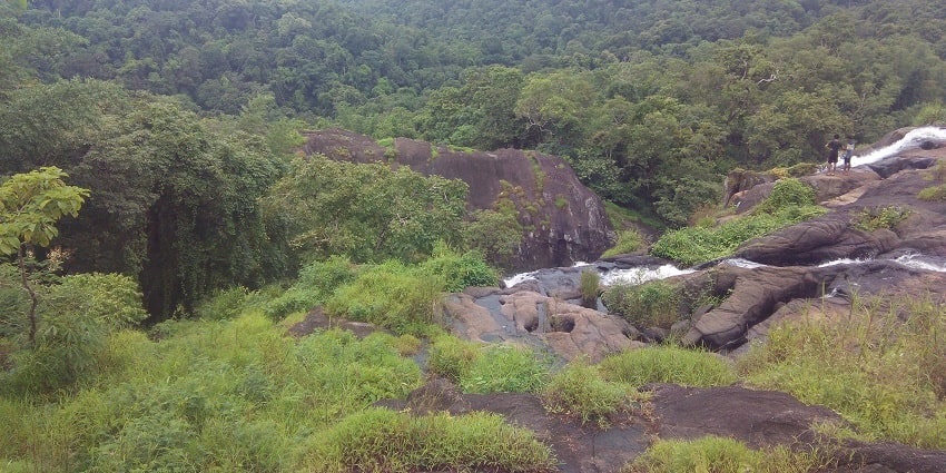 A breathtaking view of a sparkling waterfall surrounded by lush greenery during the day.