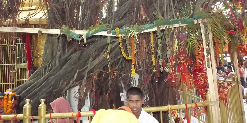 Offer prayers to the Mata Chintpurni Devi, one of the places to visit near Chintpurni.