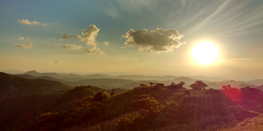 et acquainted with endangered wildlife during a visit to Mathikettan Shola National Park.