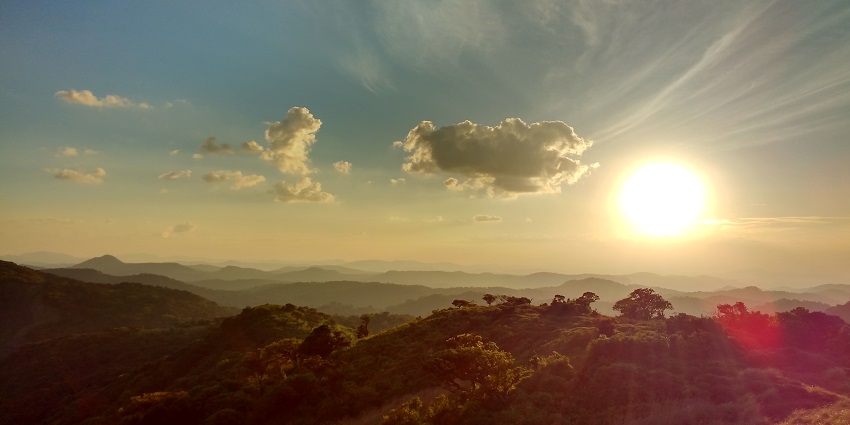 Mathikettan Shola Park is among the best parks situated near Munnar national parks.