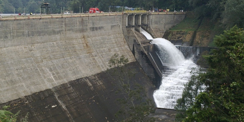 Capture the scenic view of the Mattupetty Dam from the lake surrounded in green cover