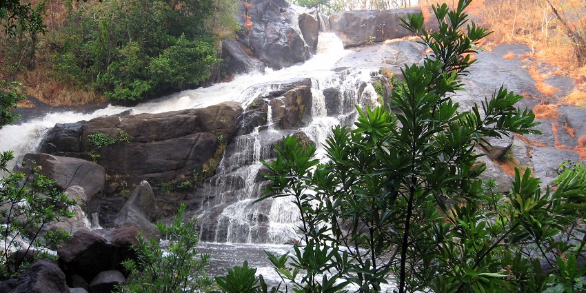 Add Meenmutty Falls to your list of places to visit for a remarkable experience.