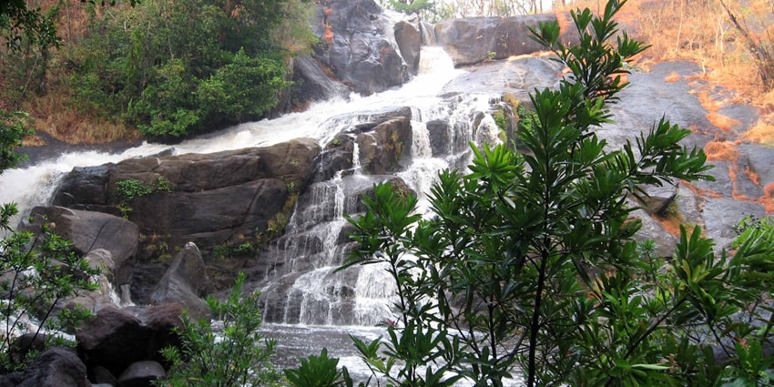 A small waterfall with plants and trees nearby