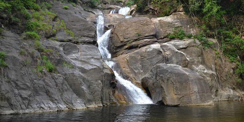 A daytime view of Meenmutty Waterfalls over brown rocks surrounded by thick trees.