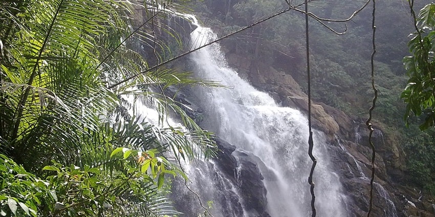 Silver water cascading down the rocks of Meenmutty falls- a moment worth capturing