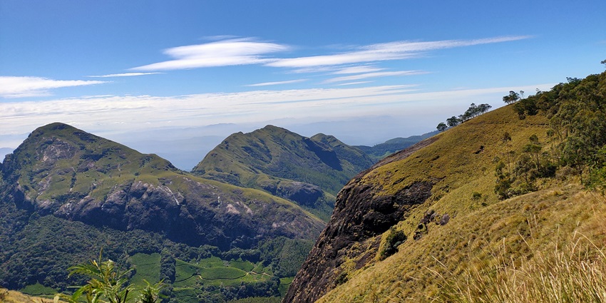 Enjoy the picturesque walk in the lush green hills amidst the alluring tea gardens
