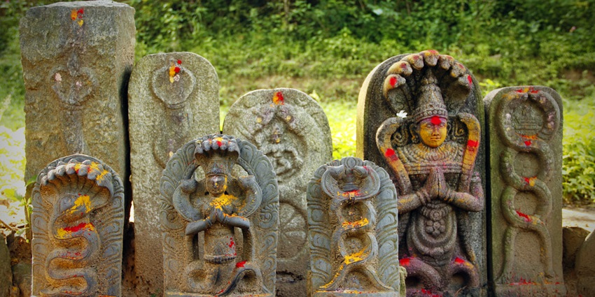 Multiple stone sculptures of Nagaraja, decorated with tilak and a garden in the background