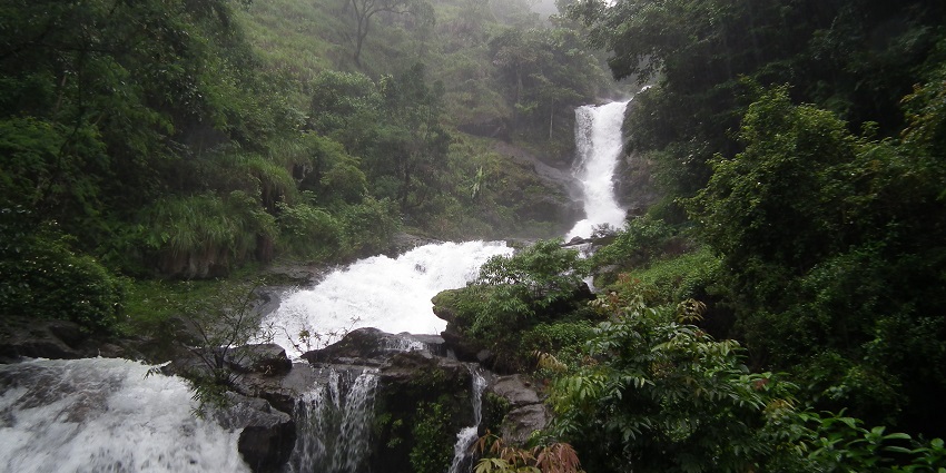 Meppadi Waterfalls, one of the best Wayanad Waterfalls, is rich in biodiversity.