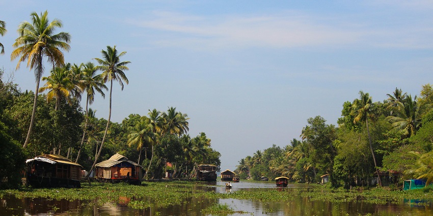 Beautiful backwaters from Monroe island, one of the places to visit in Kerala with family