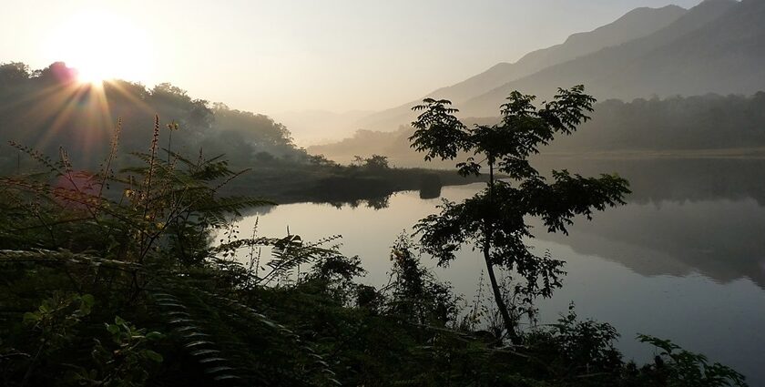 Thodupuzha, being a hidden treasure, renders a vast and surreal vibe to the tourists.