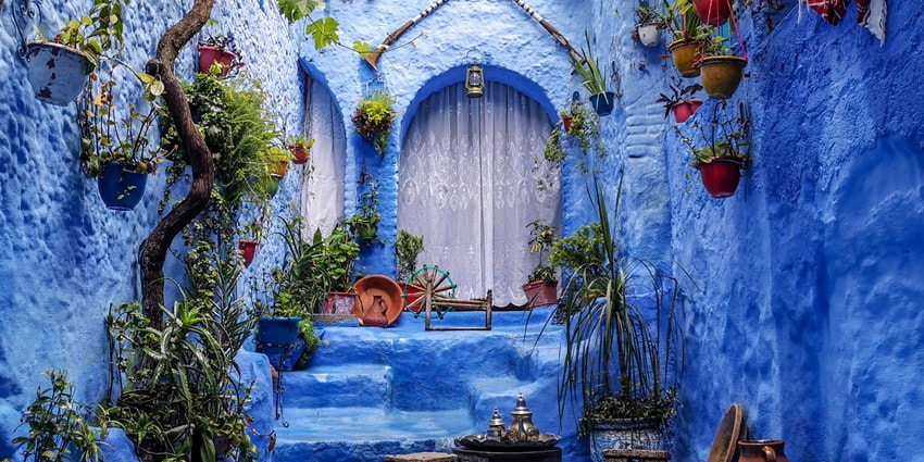 A mesmerising view of a beautiful blue alley with plants and bench in Chefchaouen, Morocco
