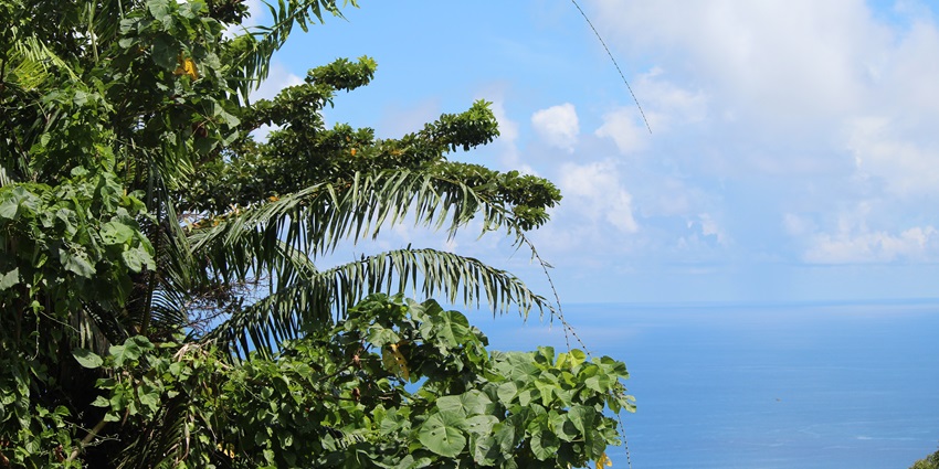 A scenic view captured from Mount Harriet National Park in Andaman and Nicobar Islands.