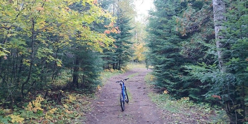For mountain bike enthusiasts, this region offers diverse terrain and numerous tracks.
