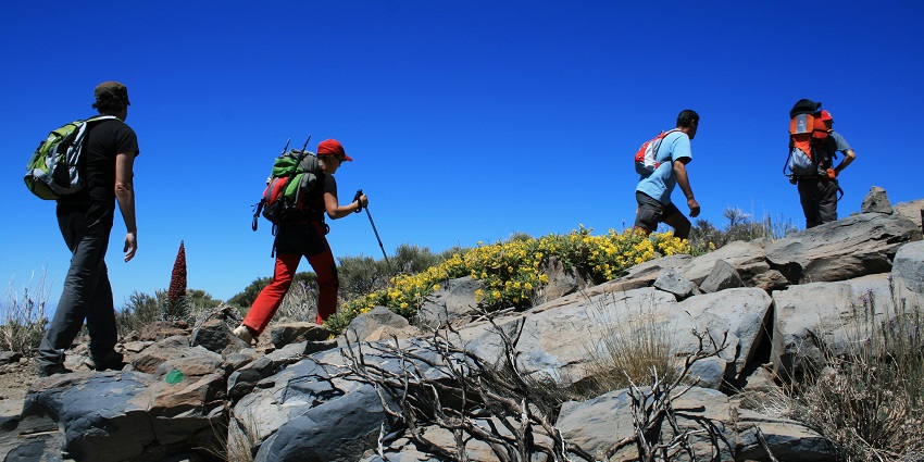 Mountain Trekking at Trek Munnar Adventure sports is a thrilling and picturesque experience
