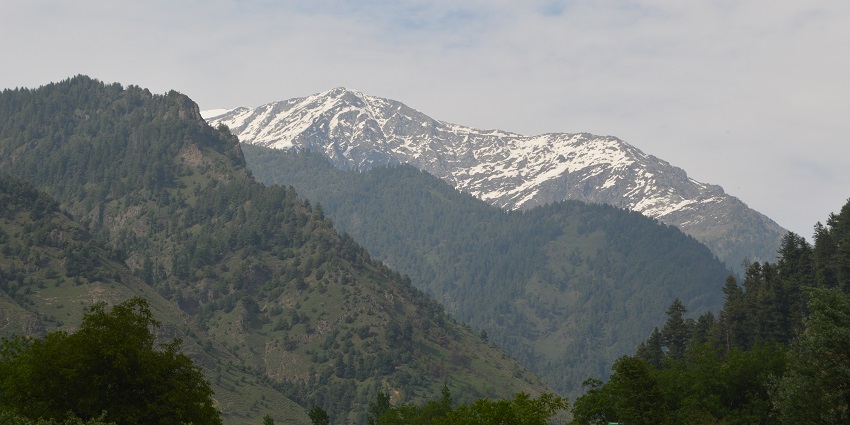 Visit Limber Wildlife Sanctuary during May to September as the weather is pleasant