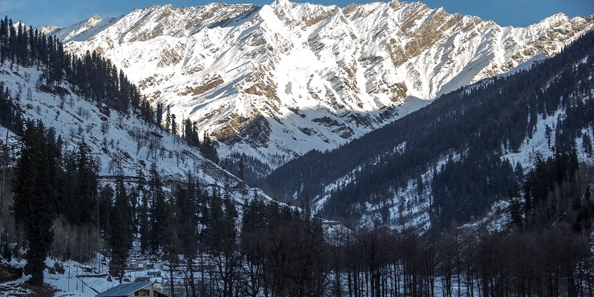 Dried pine trees standing amidst the snow covered mountains of Manali- a pleasing view