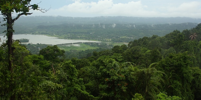 Enjoy a peaceful trek at Saddle Peak National Park, the highest point in the Andamans.