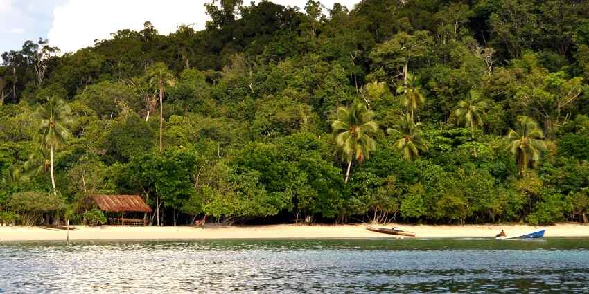 The lush green landscape of Muka Head Beach, a calm and peaceful spot in Malaysia.