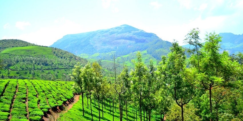 Munnar renders a spectacular and perfect landscape for paragliding in your vacations.