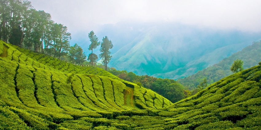 Karimutty is located north of the beautiful and charming hill station of Munnar in Kerala