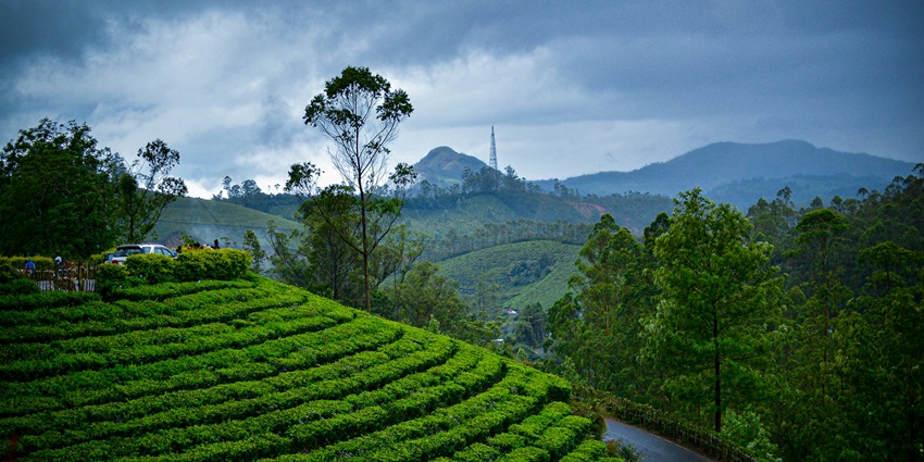 Munnar is one of the most popular places to visit in June in India among tourists.