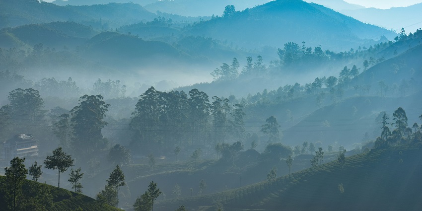 A breathtaking view of mountains and trees under misty clouds in Munnar during the day.