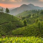 Scenic View of Green Lush hills of Munnar - Best places to Visit near Munnar.