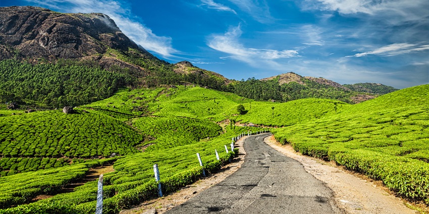 Munnar road trip, misty weather and hills surrounded - visit Vilangad Village
