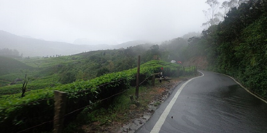 View of a scenic road