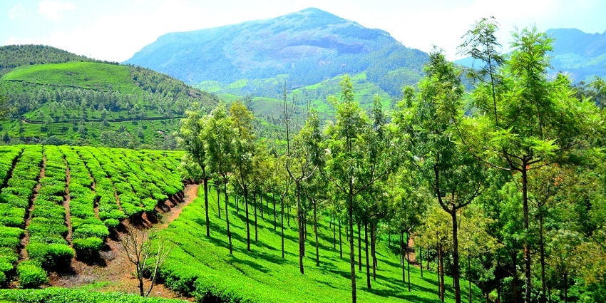 Enclosed by stunning landscapes, Munnar is one of the best hill stations in South India.