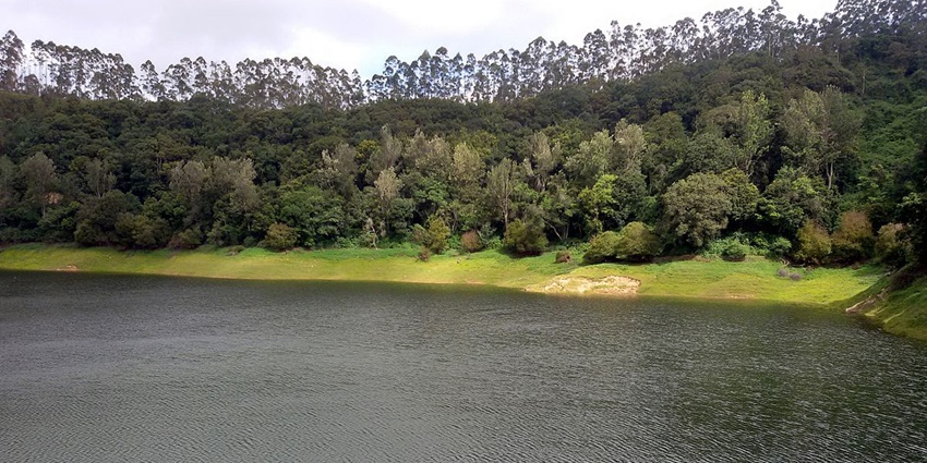 Situated along a river, this is one of the best theme parks in Munnar for nature lovers.