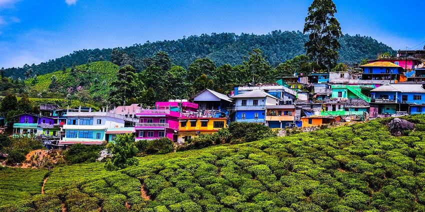 Green grass fields with the backdrop of colourful houses and an azure blue sky in Munnar