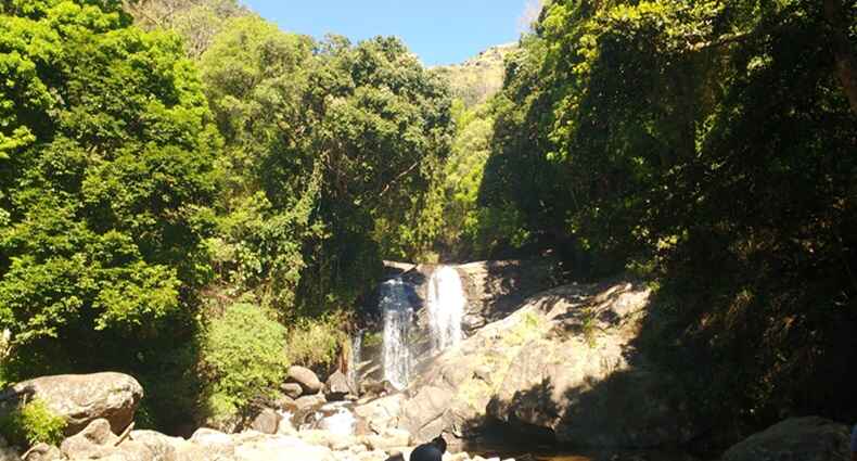 An enchanting view of a waterfall in Munnar with thick green meadows around it during day.
