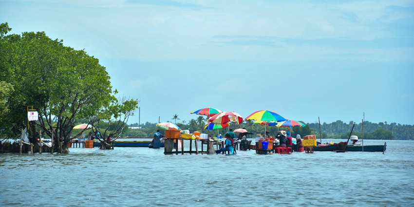 Scenic view of Munroe Island's narrow water canal surrounded by lush greenery–private islands in kerala